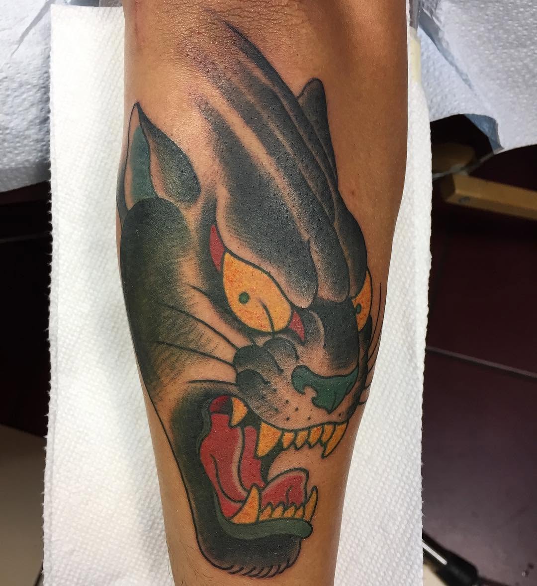 Tiger, Animal