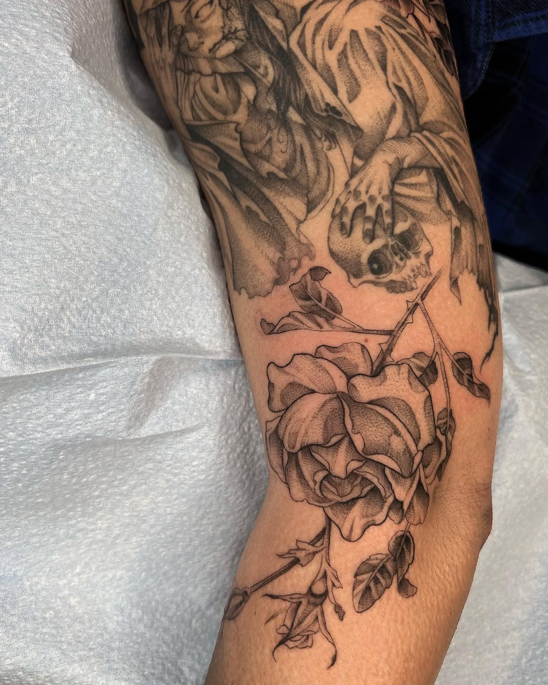 Rose, Flower