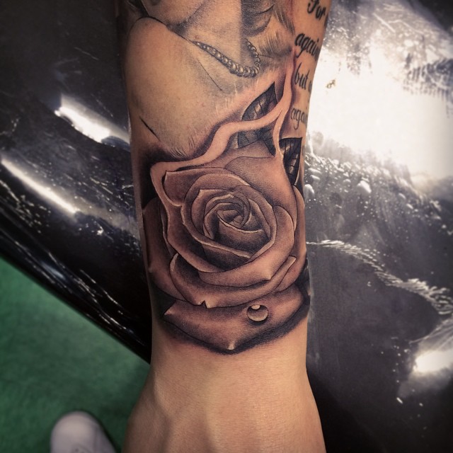 Flower, Rose