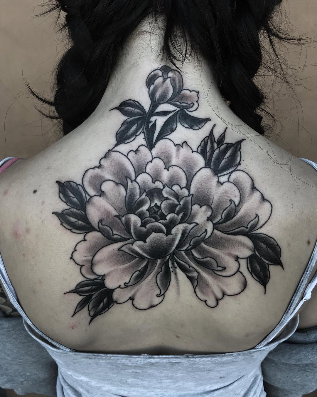 Flower, Rose, Nature