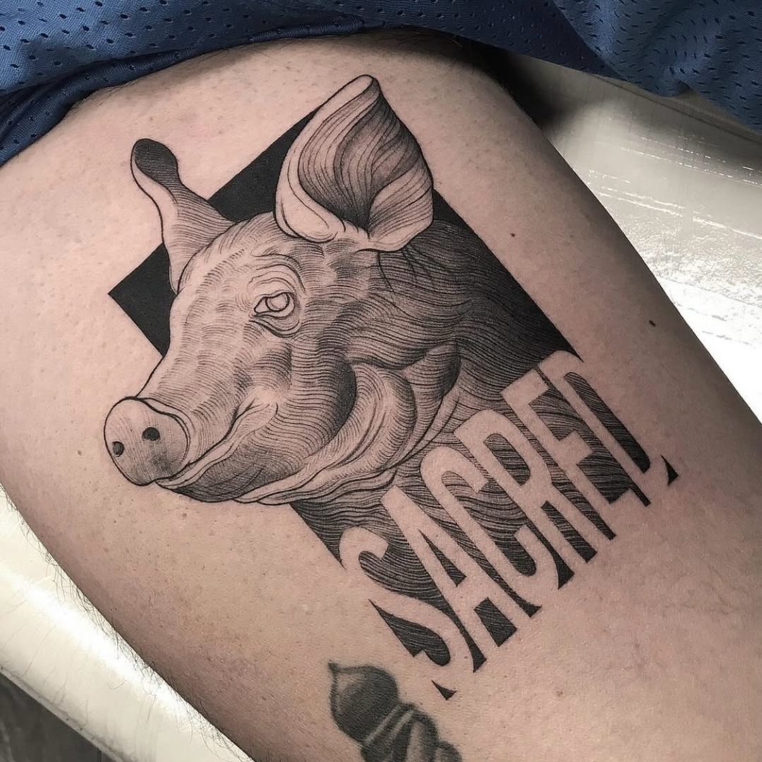 Animal, 돼지, 소
