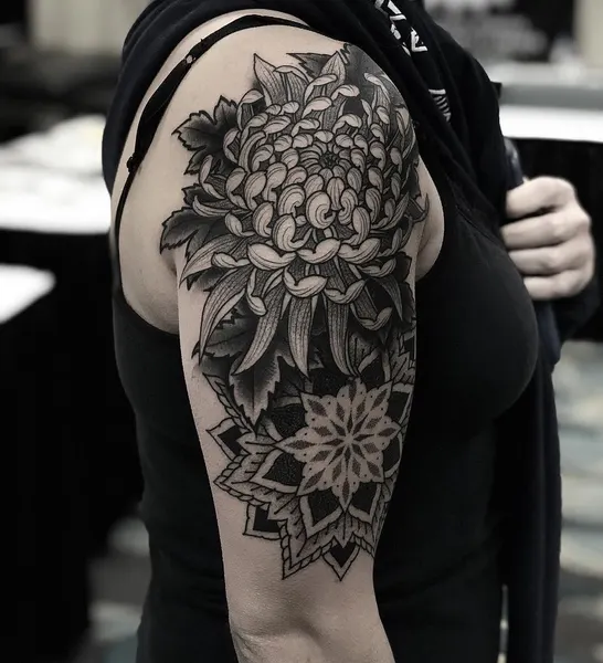 Rose, Flower