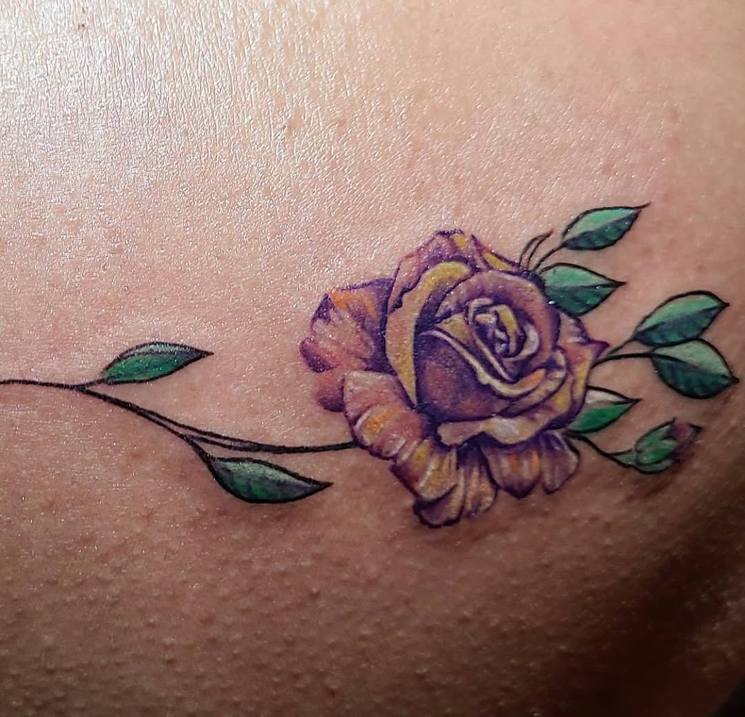 Flower, Rose, Nature