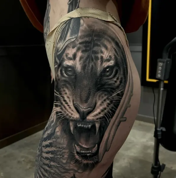 Tiger