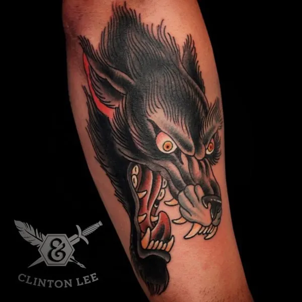 Tiger, Animal