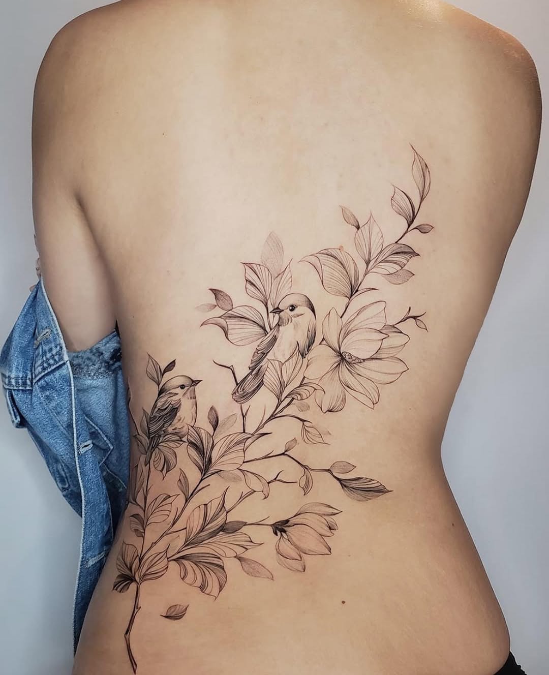 Flower, Nature, Rose