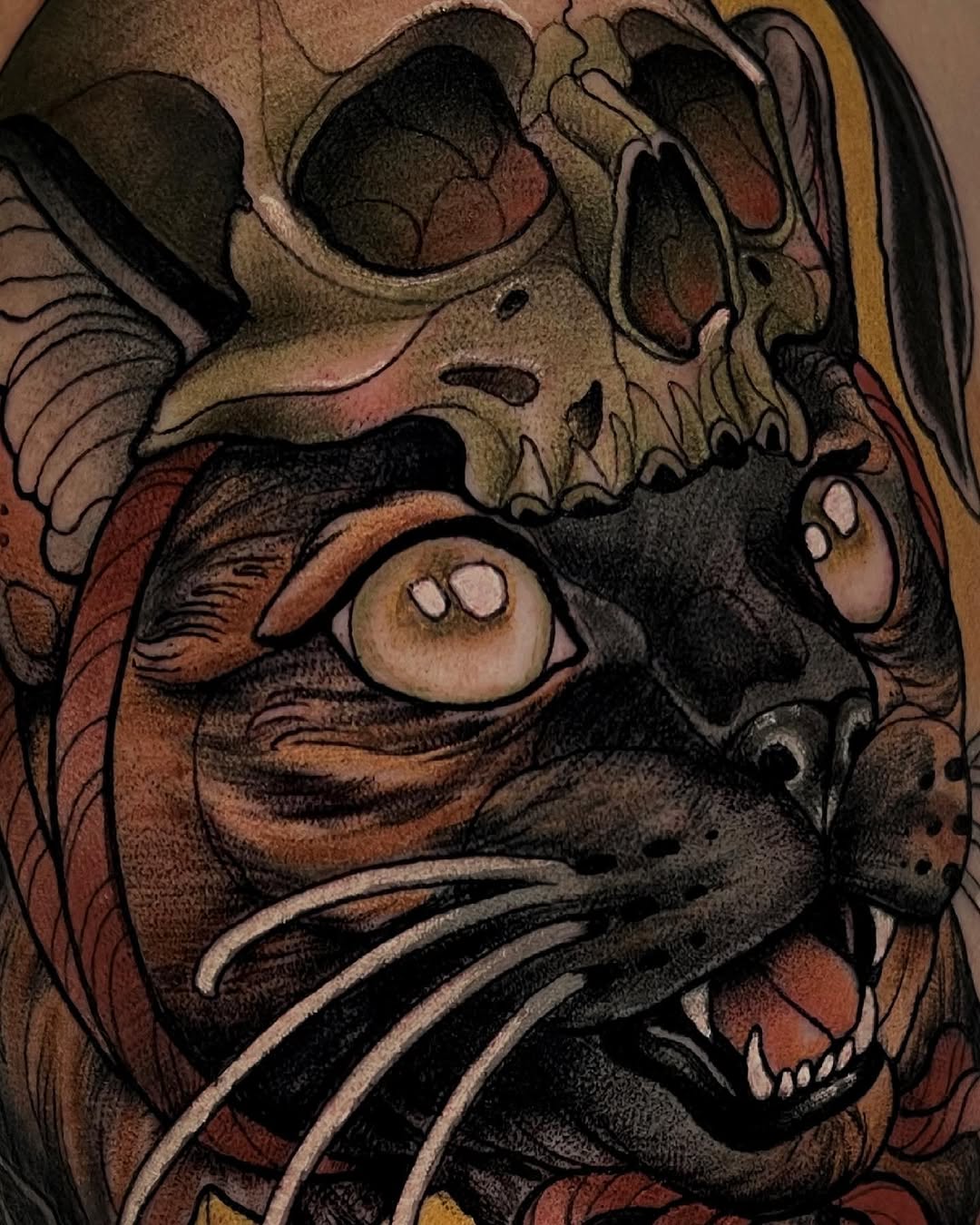 Animal, Tiger