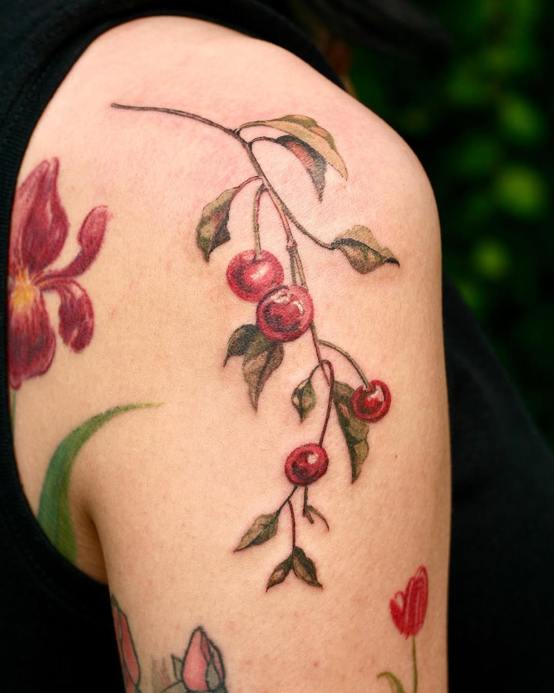 Flower, 체리, 포도, 딸기, 사과