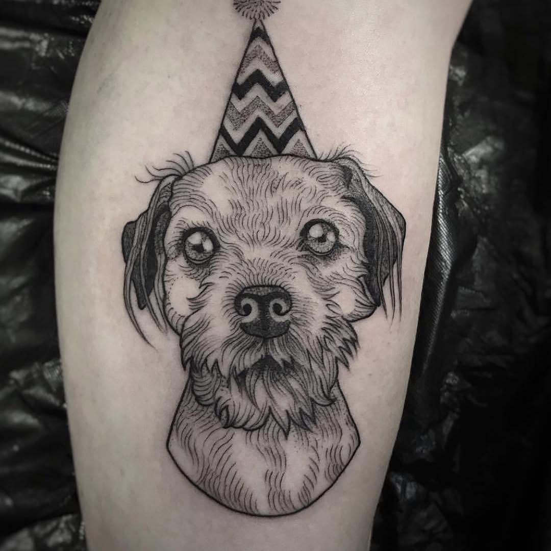 Animal