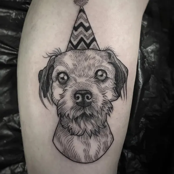 Animal