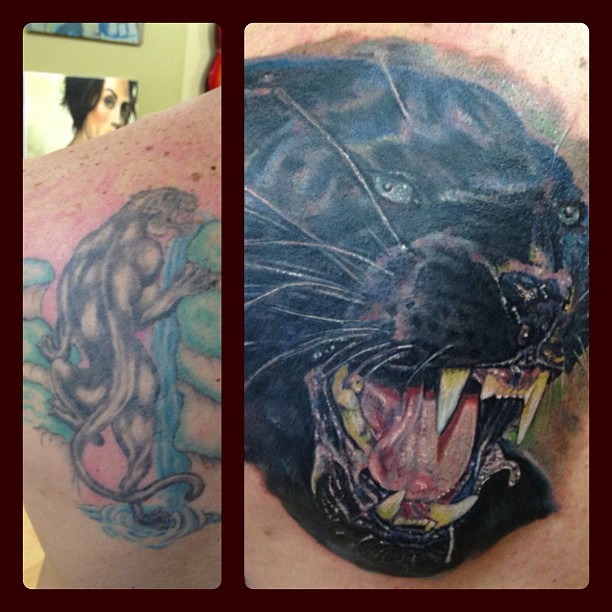 Tiger