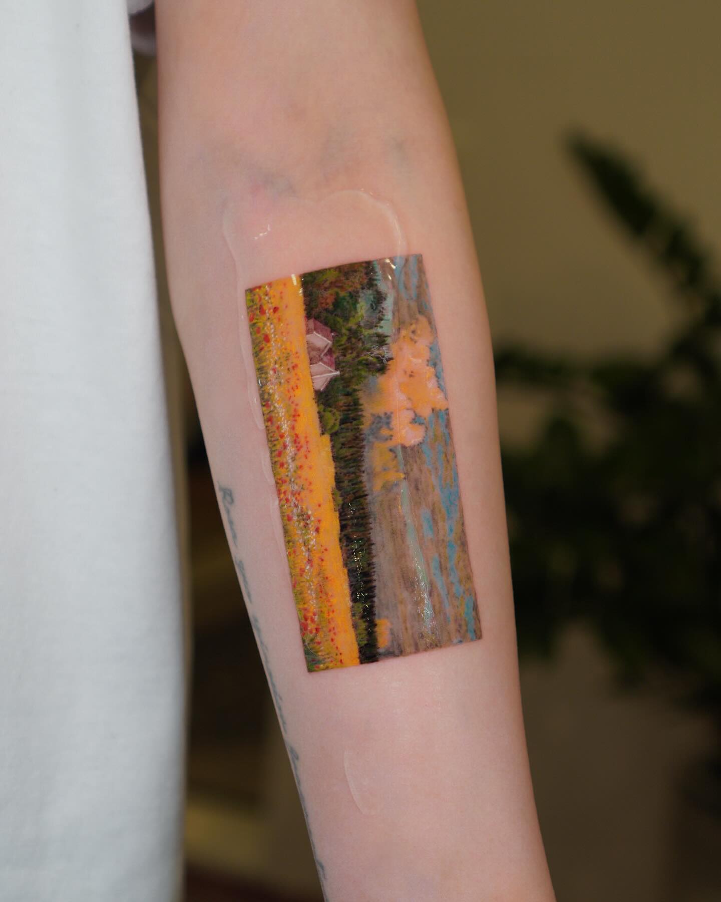 dachae.hwa