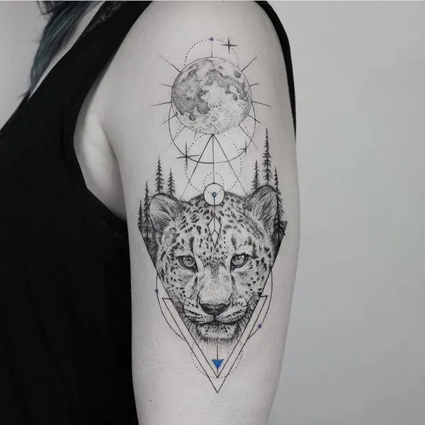 Animal, Tiger