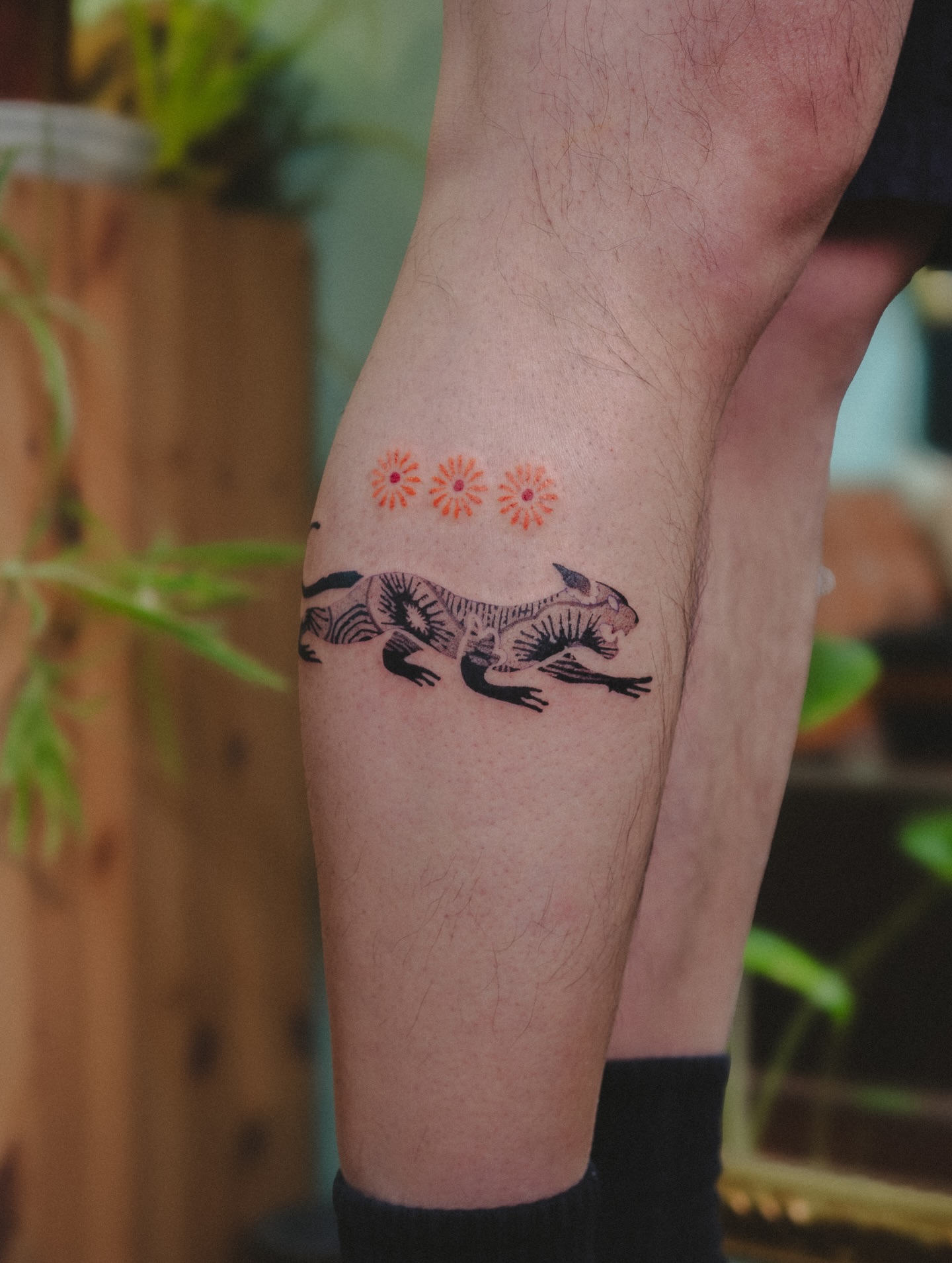 Tiger, Dragon