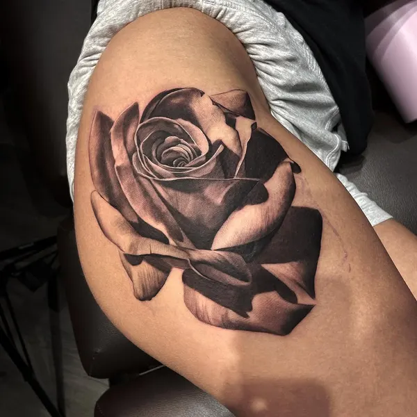 Flower, Rose
