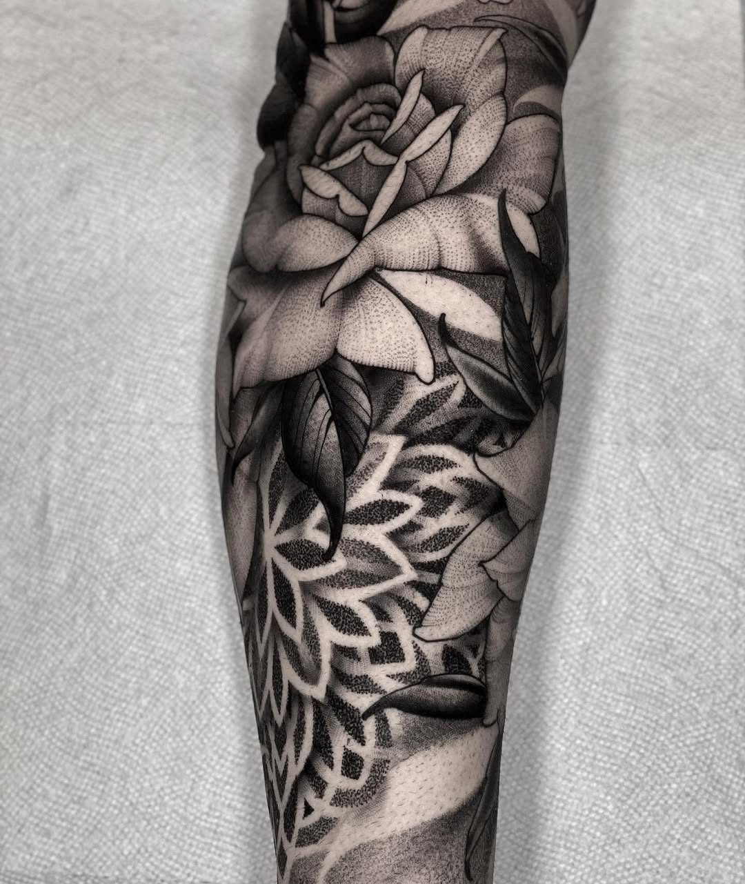 Flower, Rose