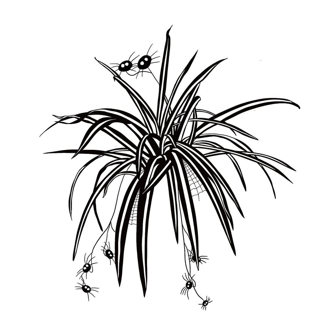 plantsnpokes