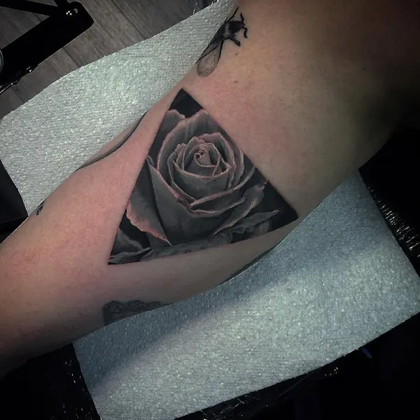 Flower, Rose