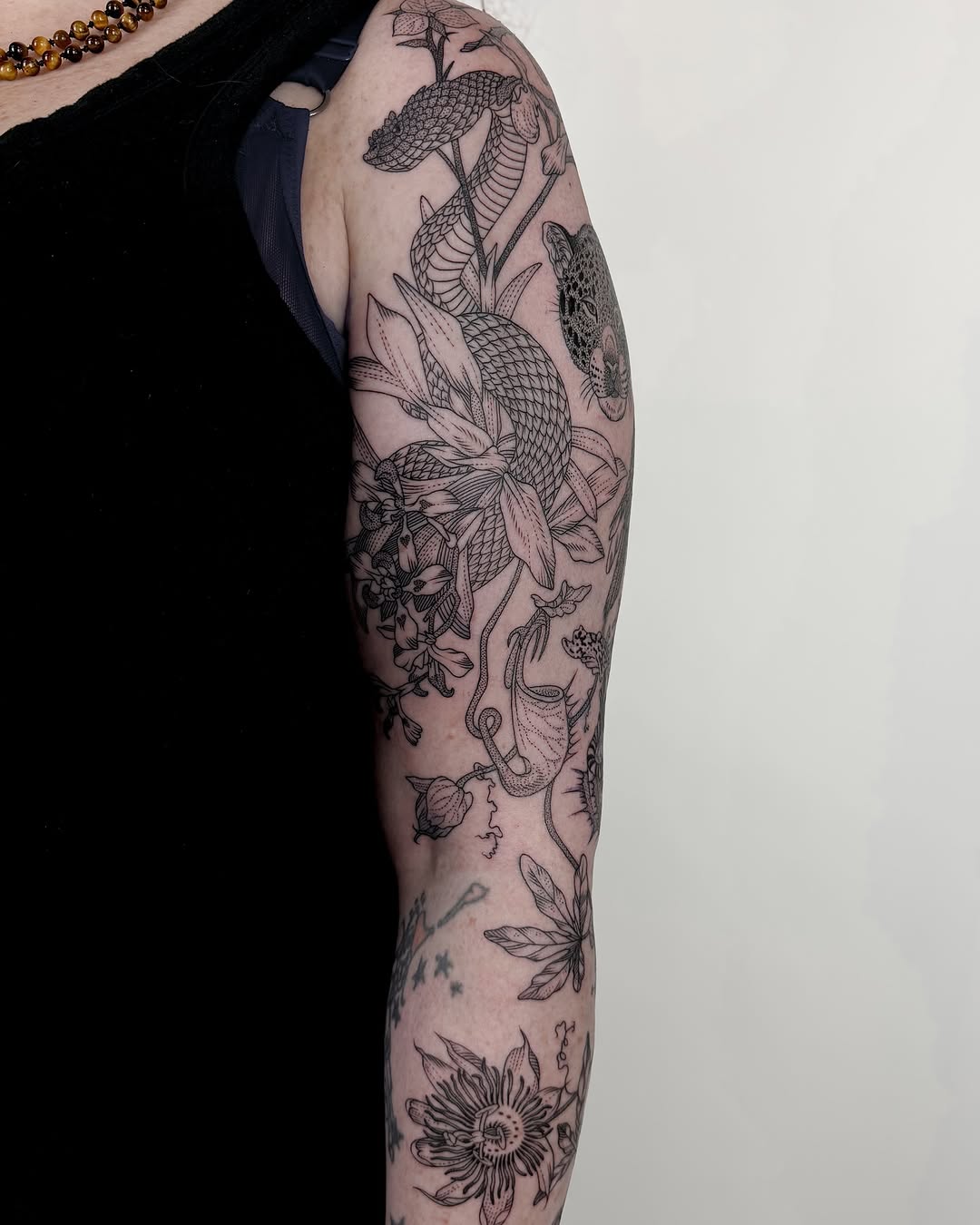 freeorgy