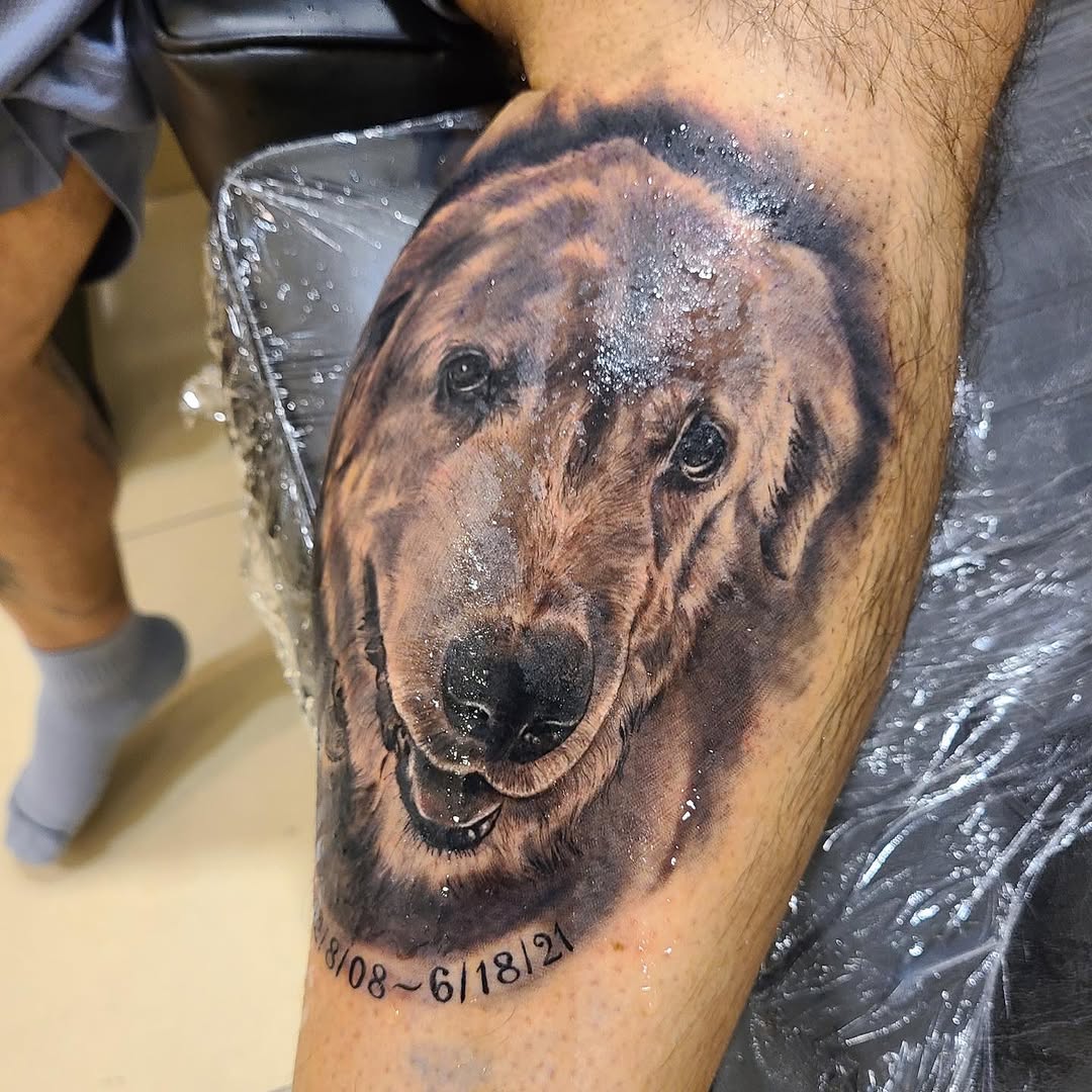 Animal