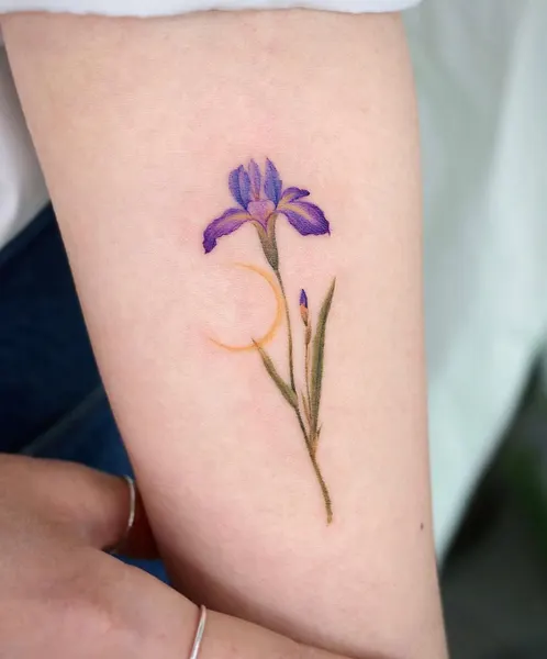 아이리스, 백합, 난초, 튤립, Flower