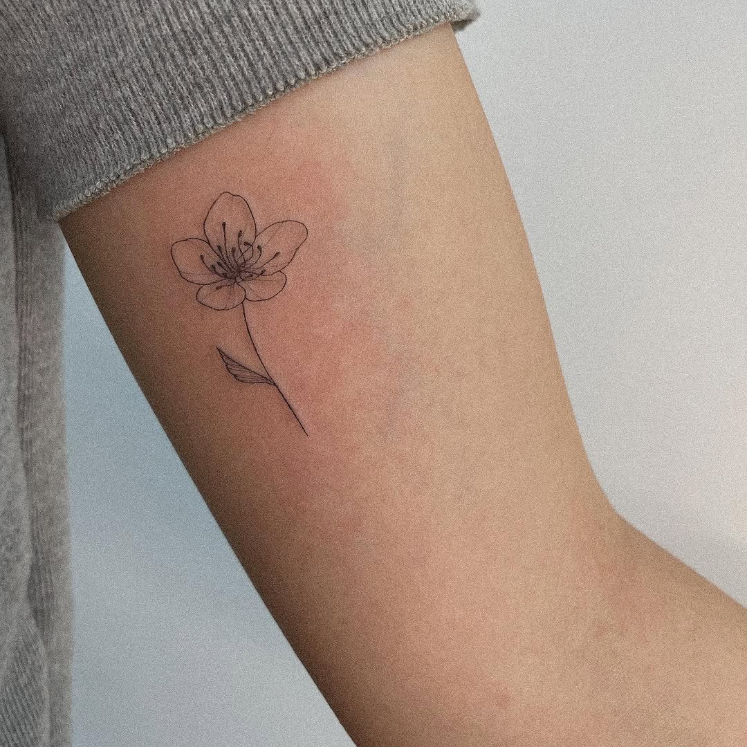 Flower, 데이지, 민들레, 해바라기