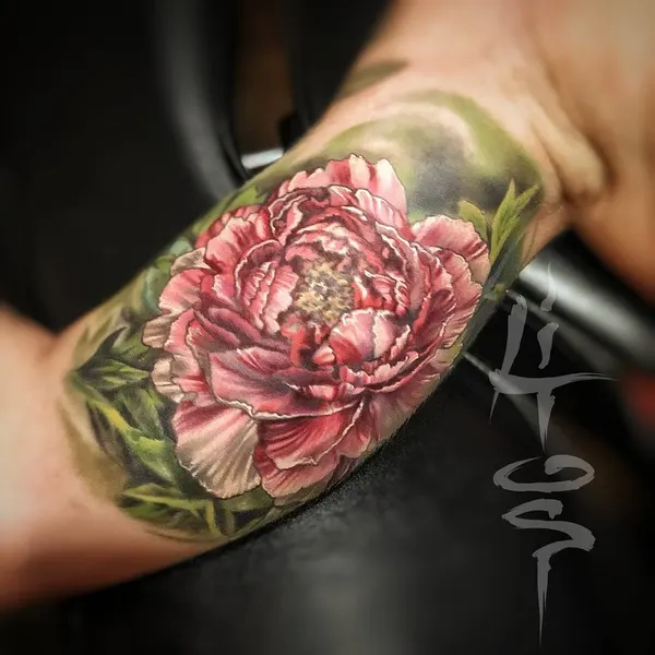 Flower, Rose