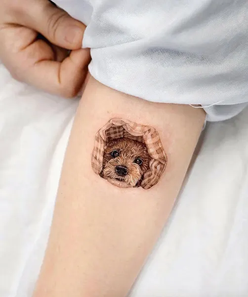 song.e.tattoo