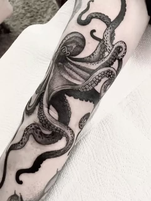 Animal, 문어, 크라켄