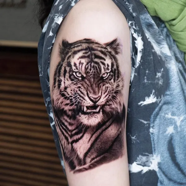 Tiger, 일본 호랑이, 중국 호랑이, 한국 호랑이