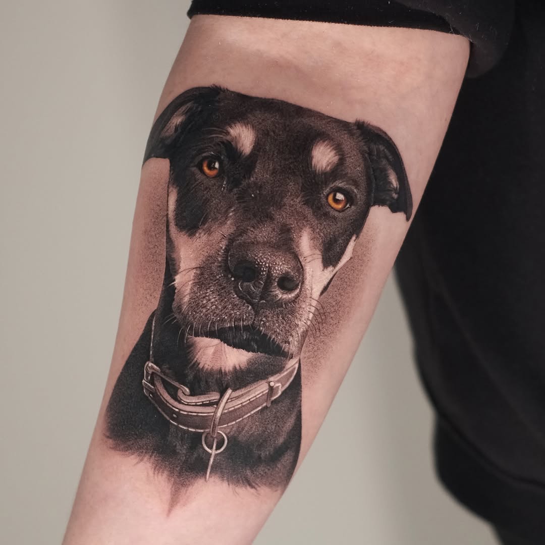 Animal