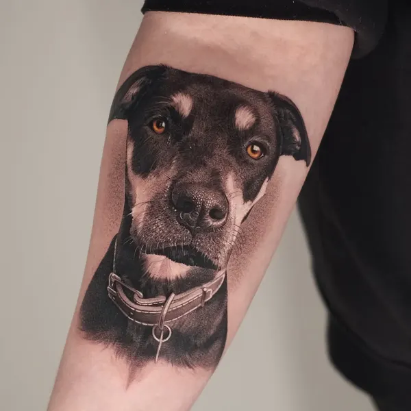 Animal
