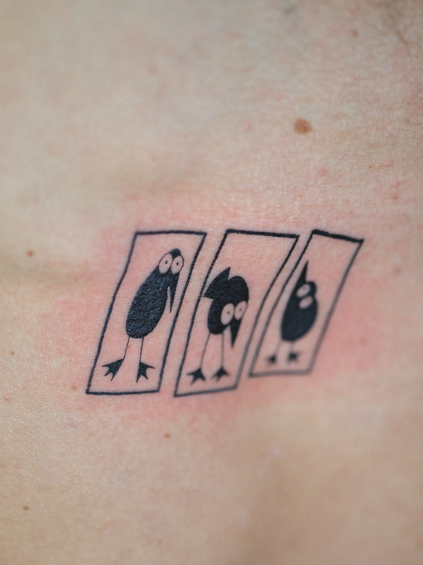 zik_tats