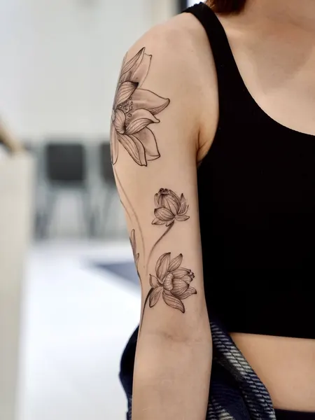Flower, Rose