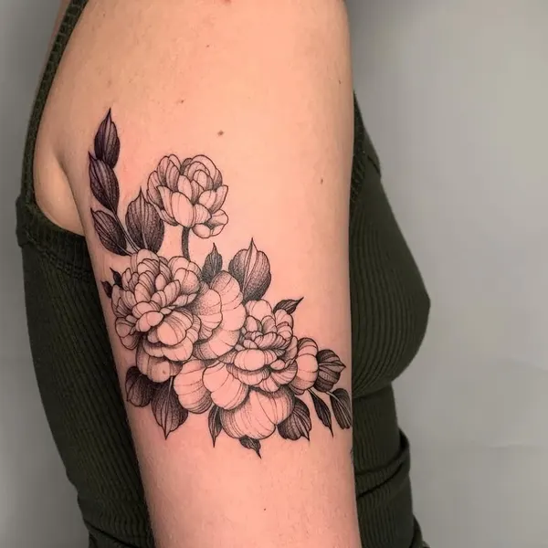 Flower, Rose, Nature