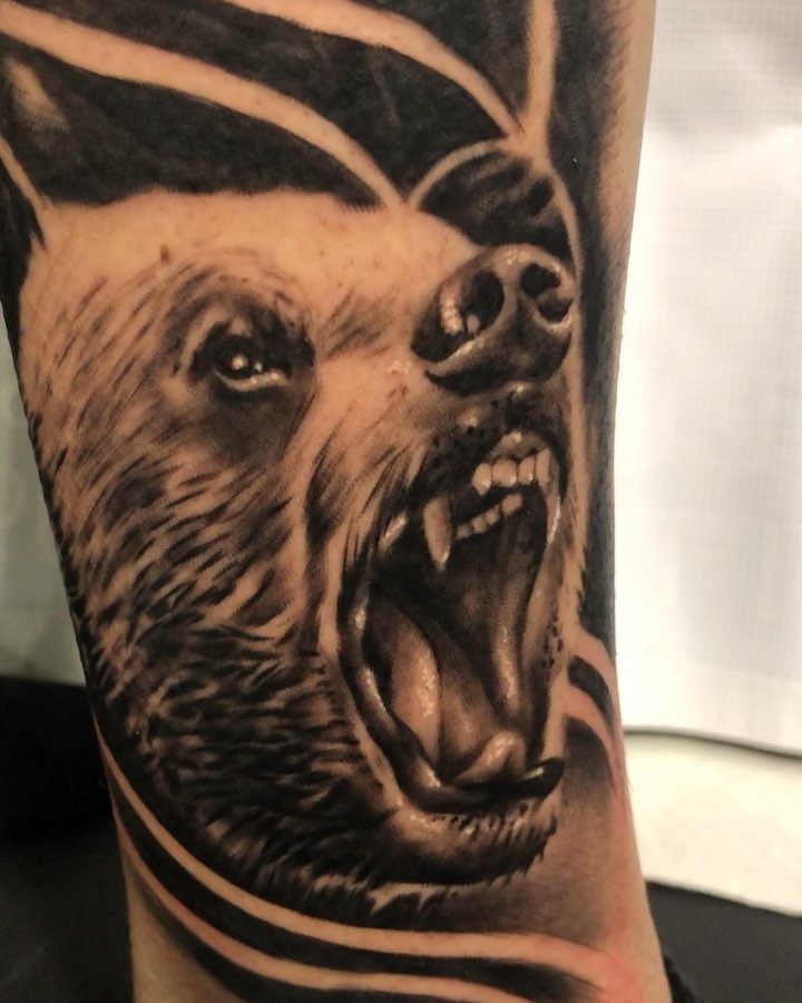 Animal