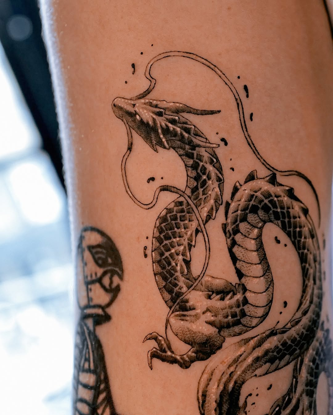 Dragon
