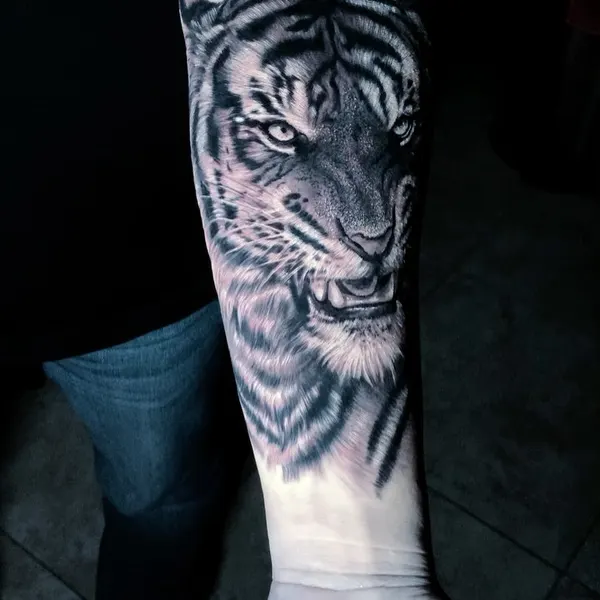 Tiger, 한국 호랑이, 중국 호랑이