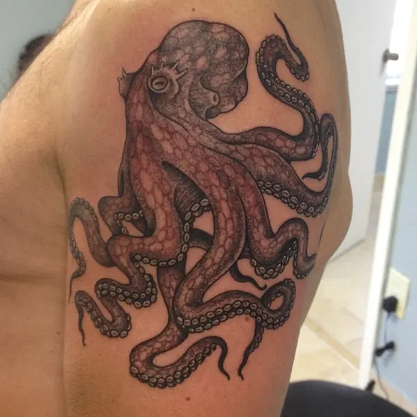 Animal