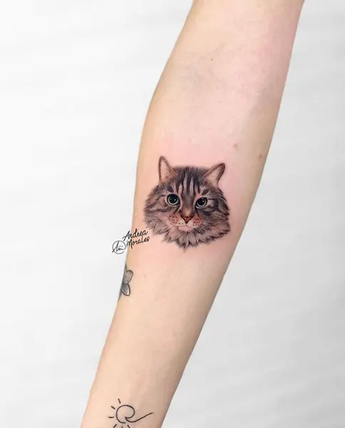 Animal