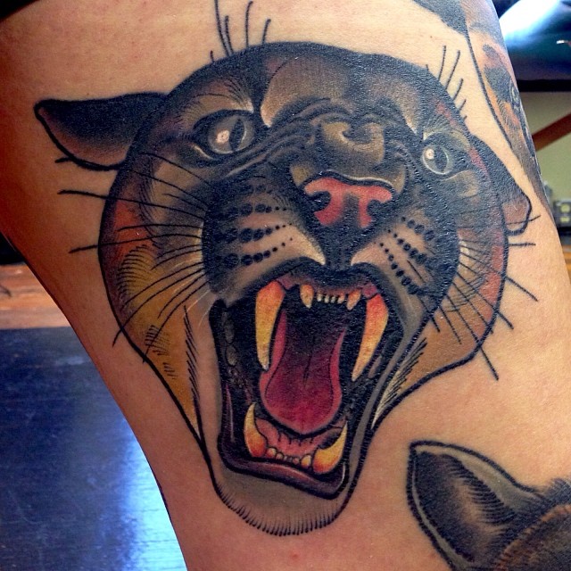 Tiger, Animal