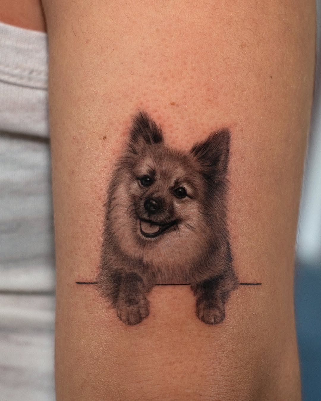 Animal, Flower