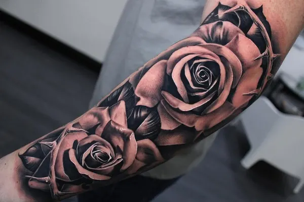 Flower, Rose
