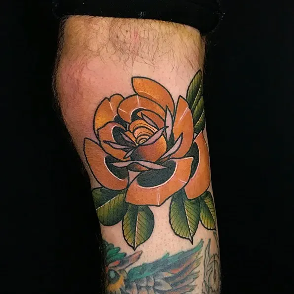 Flower, Rose