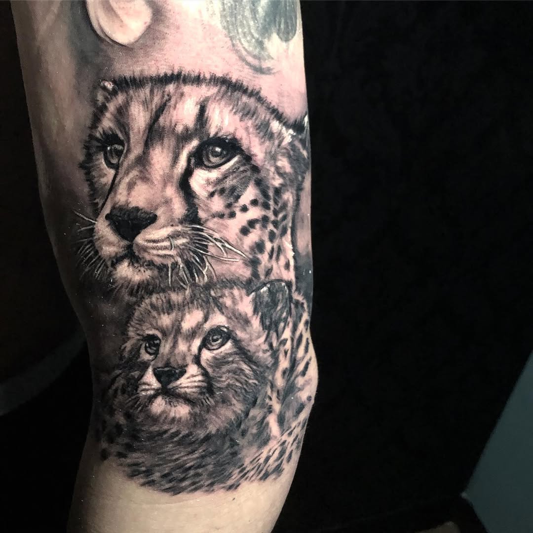 Animal