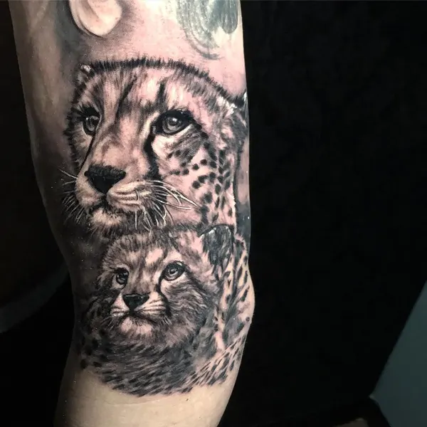 Animal, 표범