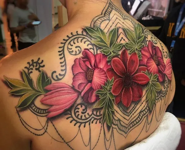 Flower, Nature, Rose