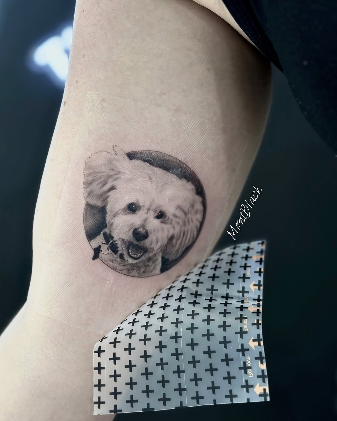 Animal, Mini