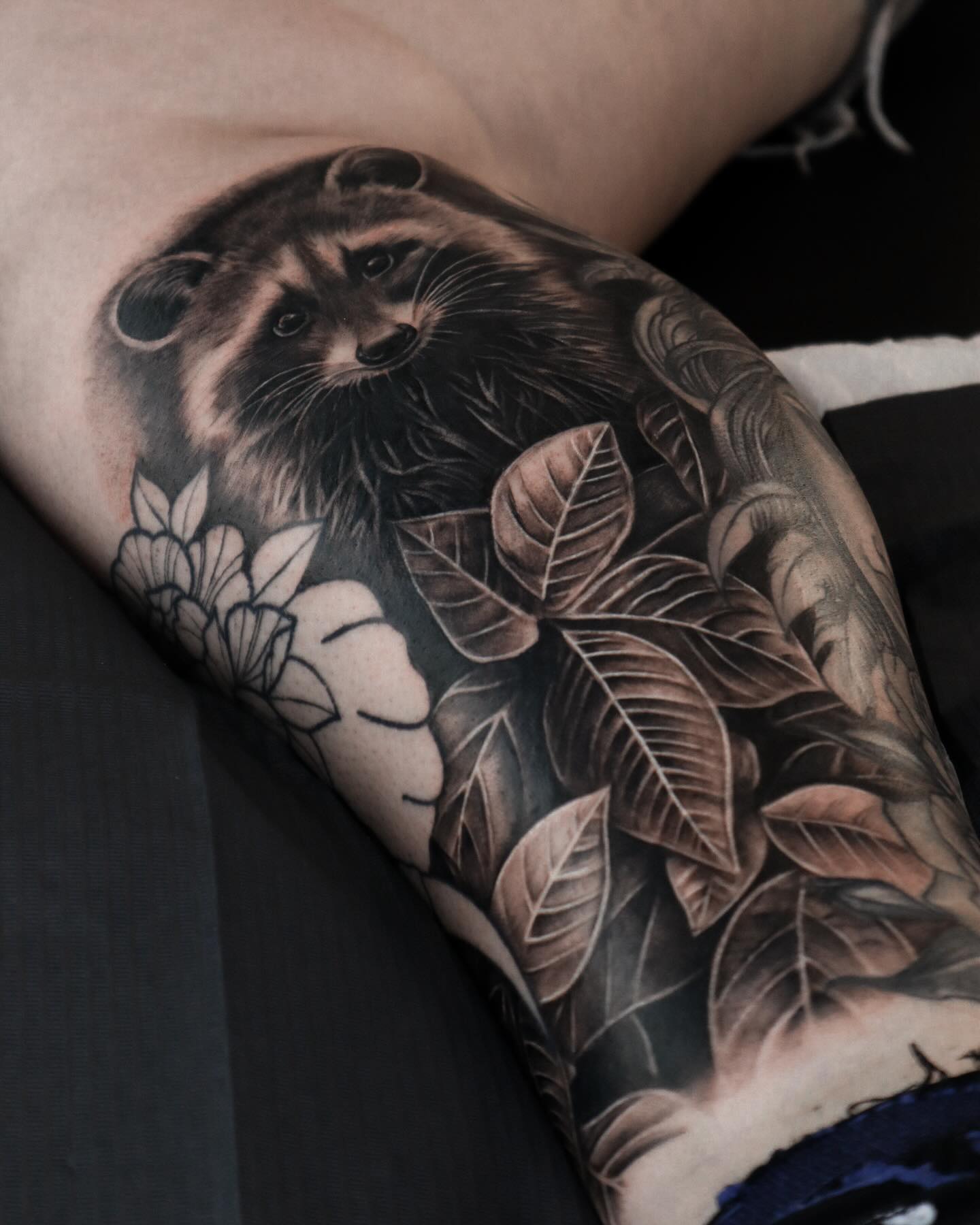 Animal, 너구리