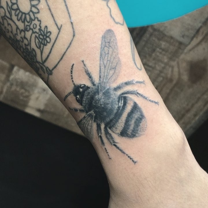 Animal